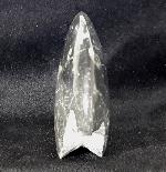 Manticoceras sp. HYATT 1884 - Bild &copy; FossNet FossilienStore